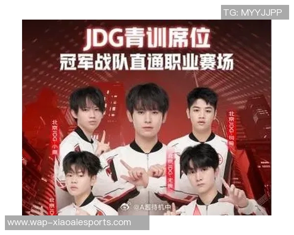 esports数据王者荣耀深度解析JDG战队默契配合与战术运用的成功之道